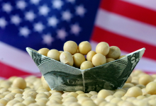 中国尚未预购，美种植户忧心忡忡！-程序员中文网