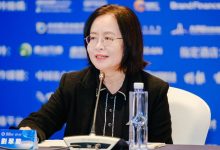 中国上市公司协会理事刘翠兰:出海要善用媒体力量 讲好中国品牌故事-程序员中文网