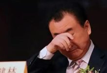 1.86亿,压垮王健林的最后一根稻草?-程序员中文网