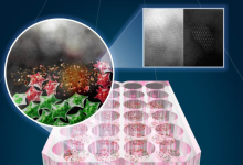 研究团队研发新型光照癌症疗法，30分钟杀死92%皮肤癌细胞-程序员中文网