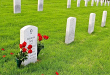 中国最“阴间”的生意，泡沫碎了-程序员中文网