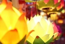 义乌又一爆款,它卖爆了-程序员中文网