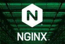 在nginx日志的access log中记录post请求的参数值-程序员中文网