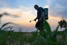 中原粮仓,太难了-程序员中文网