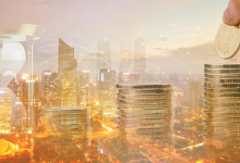 大牛股，集体公告-程序员中文网