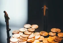 淳中科技要和英伟达“联姻”？董秘回应来了-程序员中文网