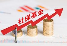 四大免税政策，释放社保基金红利！最新解读来了-程序员中文网