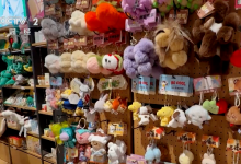 上线三天，爆卖2万只，它为啥火？-程序员中文网