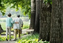 个人养老金产品超千只，该如何选择？-程序员中文网