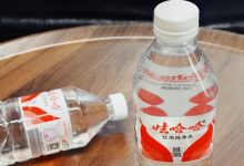 宗馥莉，放弃娃哈哈？-程序员中文网