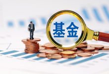 中纪委点名，国资做LP，亏了200亿-程序员中文网